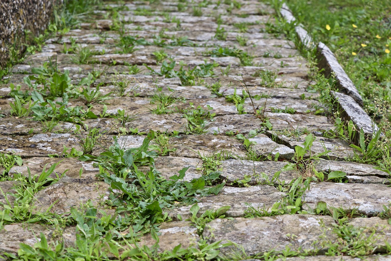 La via Appia è Patrimonio Unesco